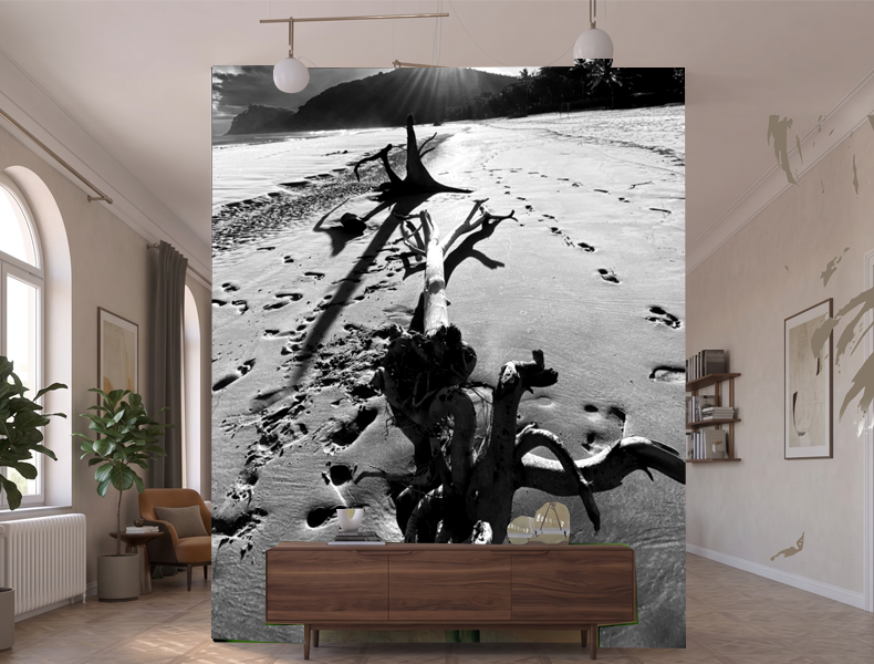 Portfolio Image