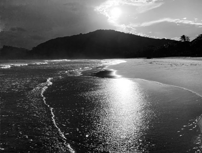 Portfolio Image