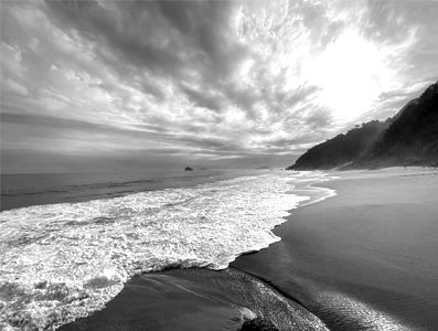 Portfolio Image