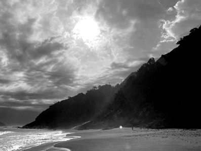 Portfolio Image
