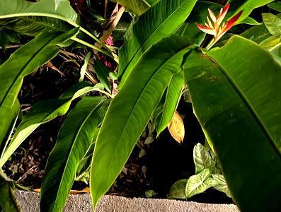 Portfolio Image