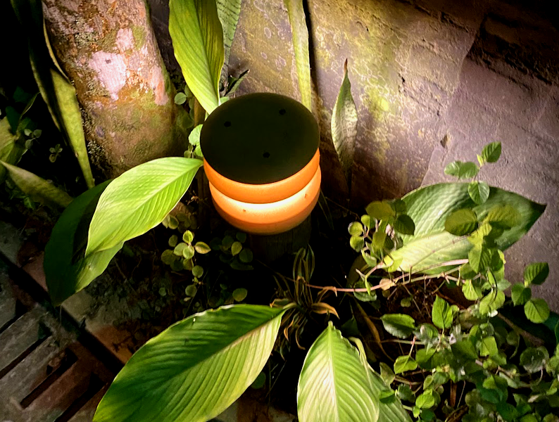 Portfolio Image