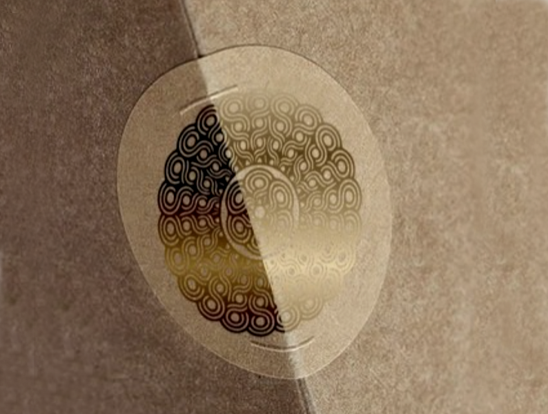 Portfolio Image