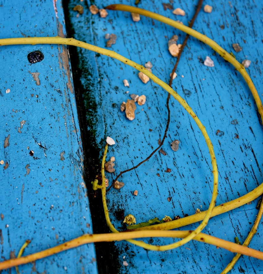 Portfolio Image